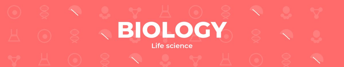 Banner design 4