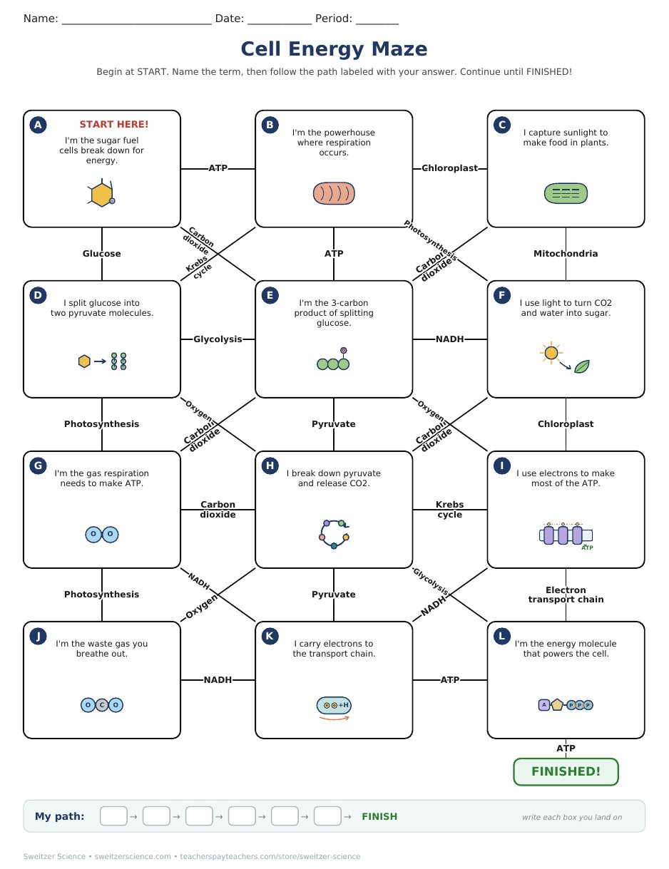 Printable cell energy maze student page