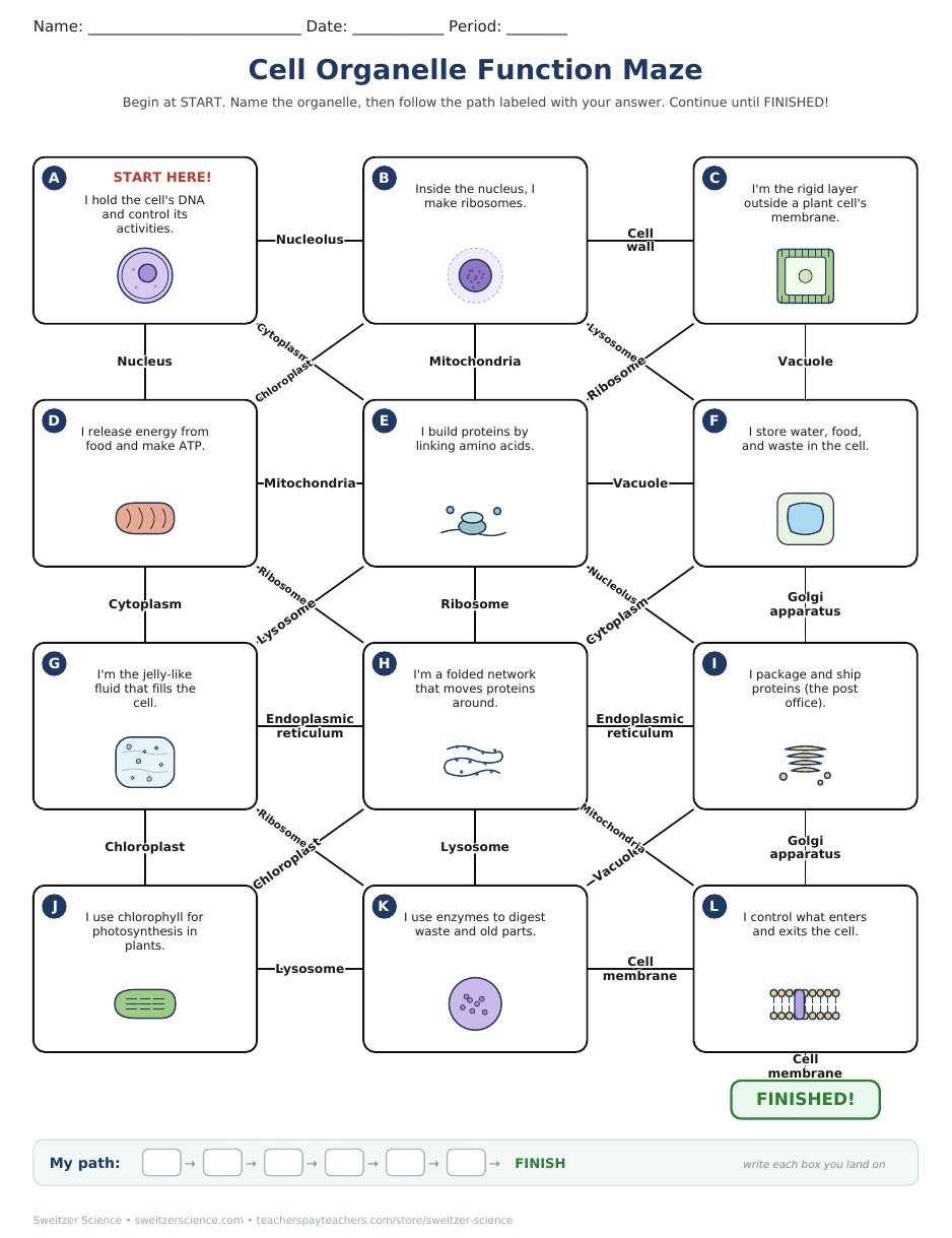 Printable cell organelle maze student page