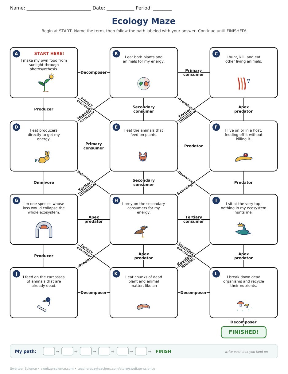 Printable ecology maze student page