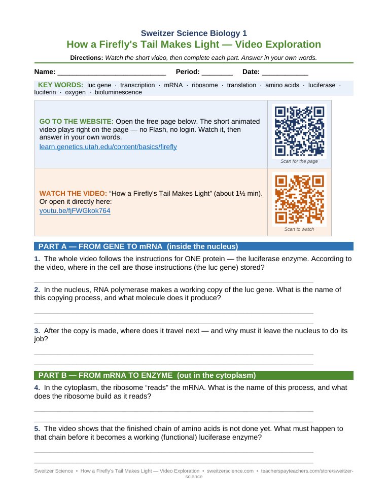 Video exploration worksheet page 1