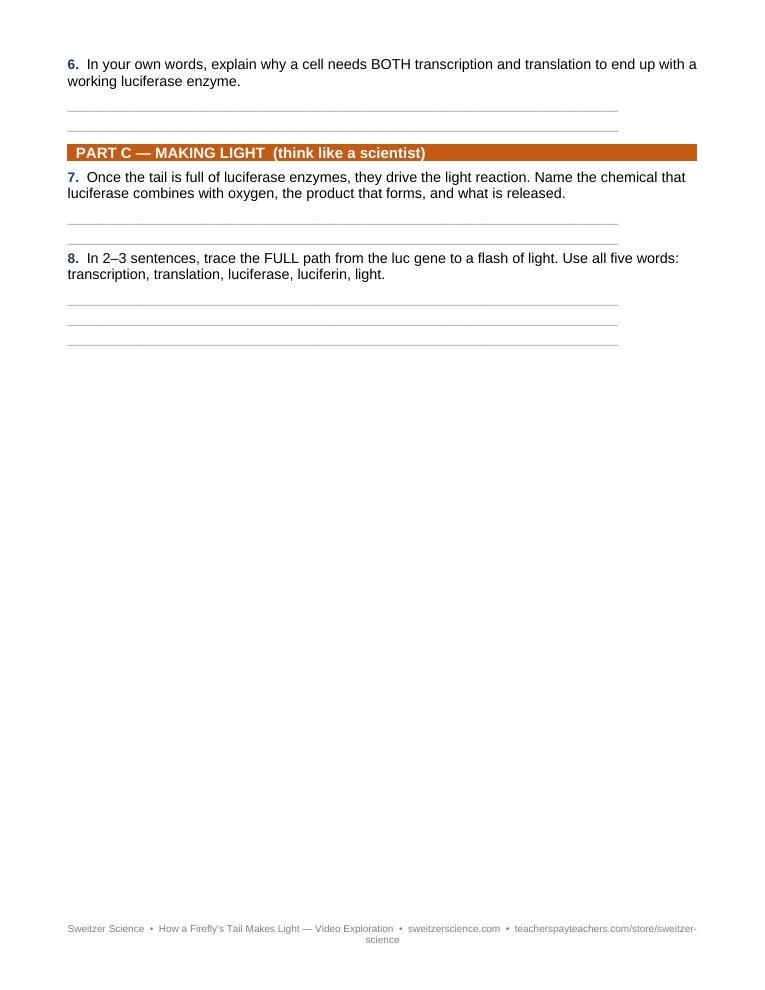 Video exploration worksheet page 2