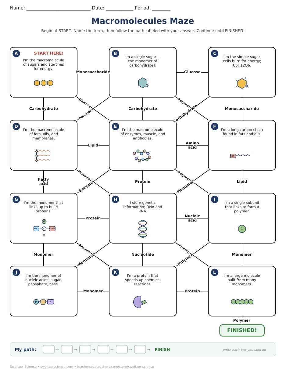Printable macromolecules maze student page