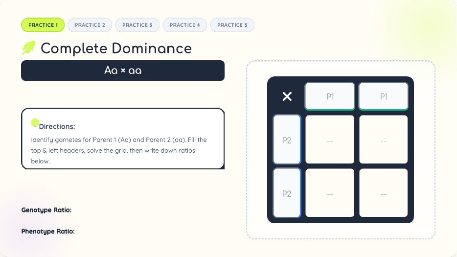 Complete dominance practice board